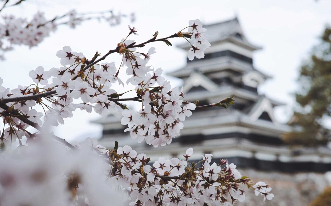 Chikaku ni o-susume no resutoran wa arimasu ka